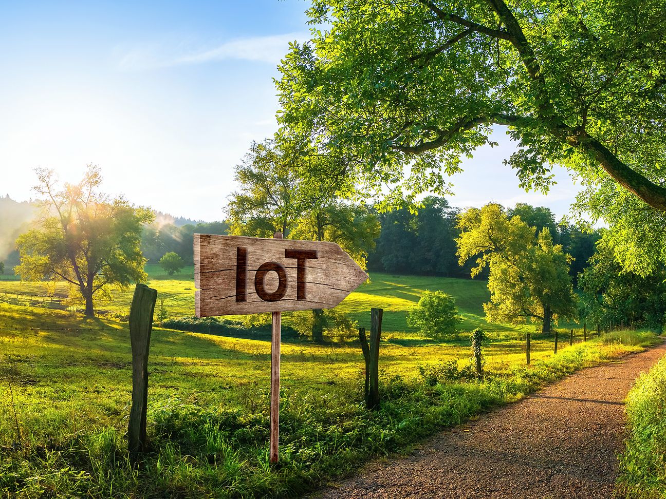 Mit IoT-Anwendungen der Telekom lassen sich wirtschaftliche Vorteile mit Nachhaltigkeit verbinden.