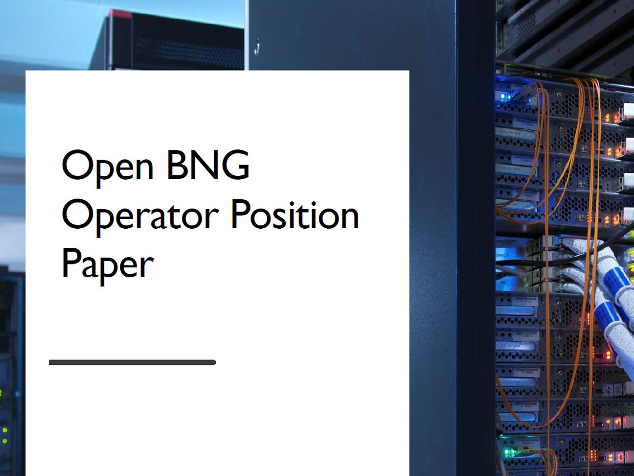 Position Paper Open BNG