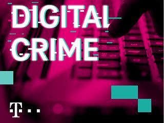 Data Crimes erzählt wahre Kriminalfälle aus dem World Wide Web. 