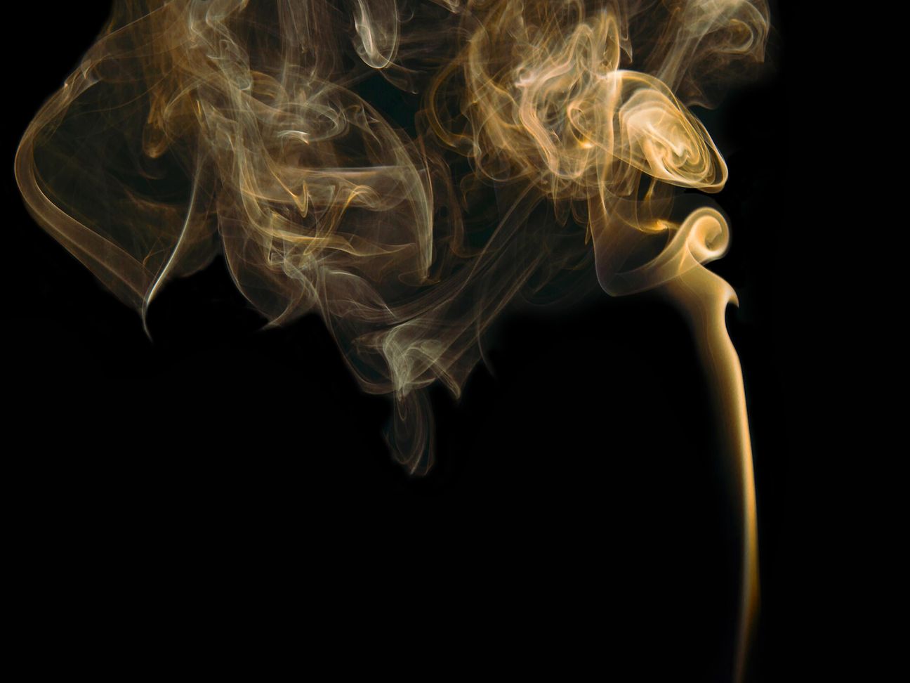 Smokeloader emerged from the Russian cybercrime underground in 2011 but is still alive.
