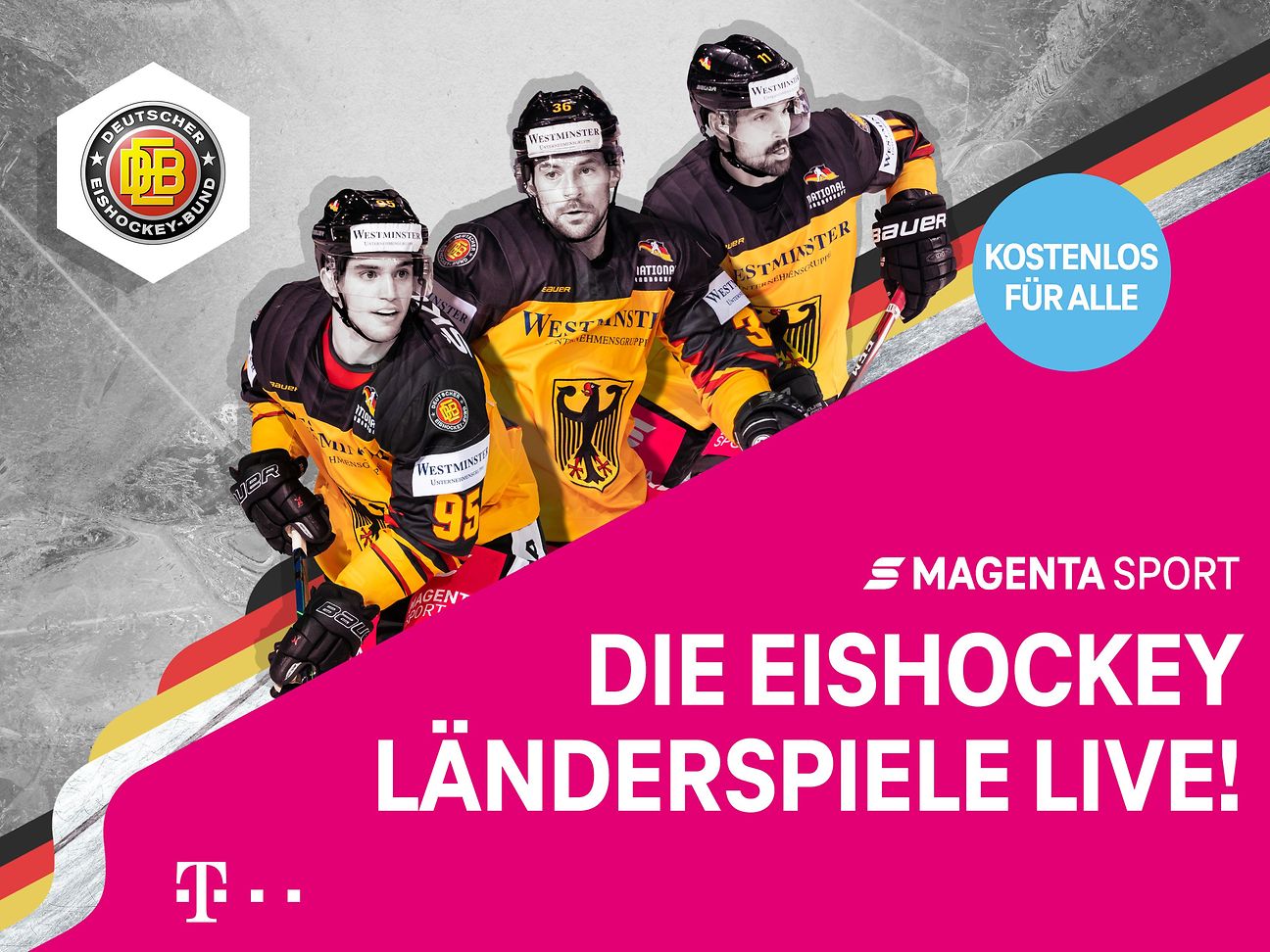 eishockey live im tv