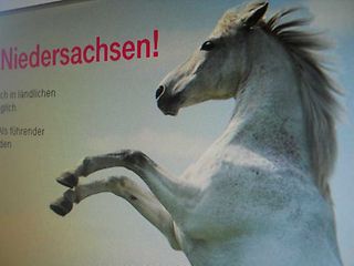 Telekom Plakat mit Pferd und Niedersachsen