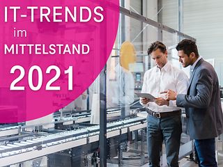 Studientitel "IT-Trends auf der Spur"