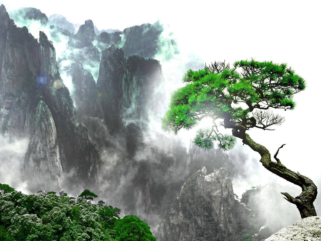 Resilience for companies