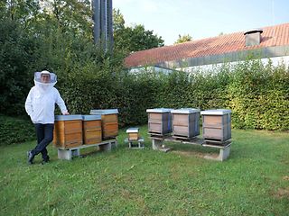 Bienenstöcke von Patrick Köhler