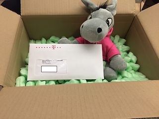 Stofftier-Esel in einem Karton