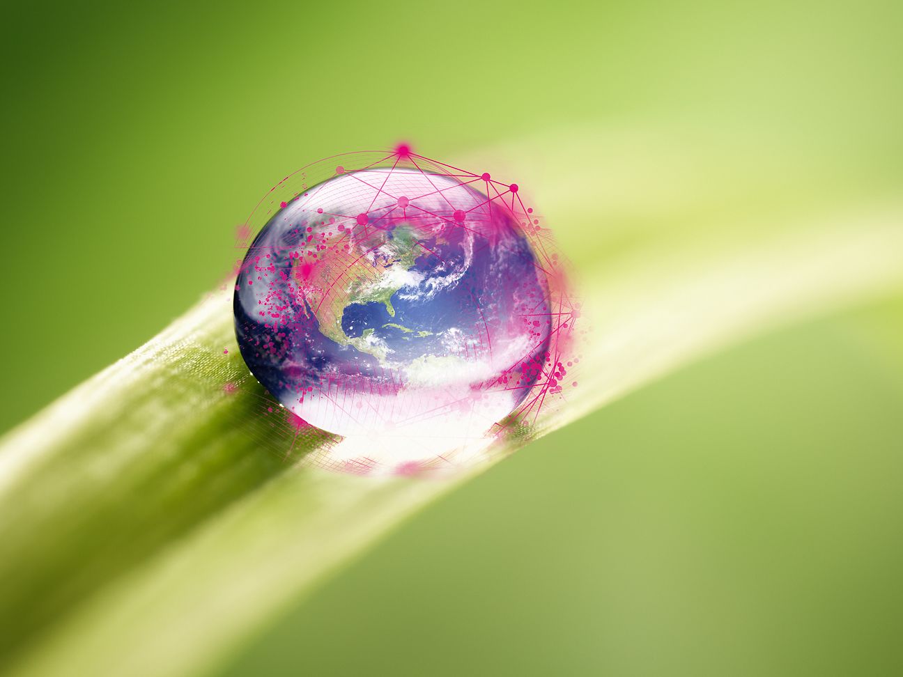 Netzgeschichten TALK: Future of the Internet - green infrastructure and fair cost sharing