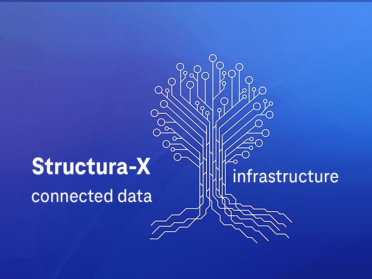 Infrastruktur für Gaia-X: Structura-X