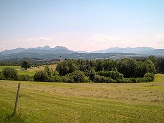 Eine grüne Wiese vor Bergpanorama.