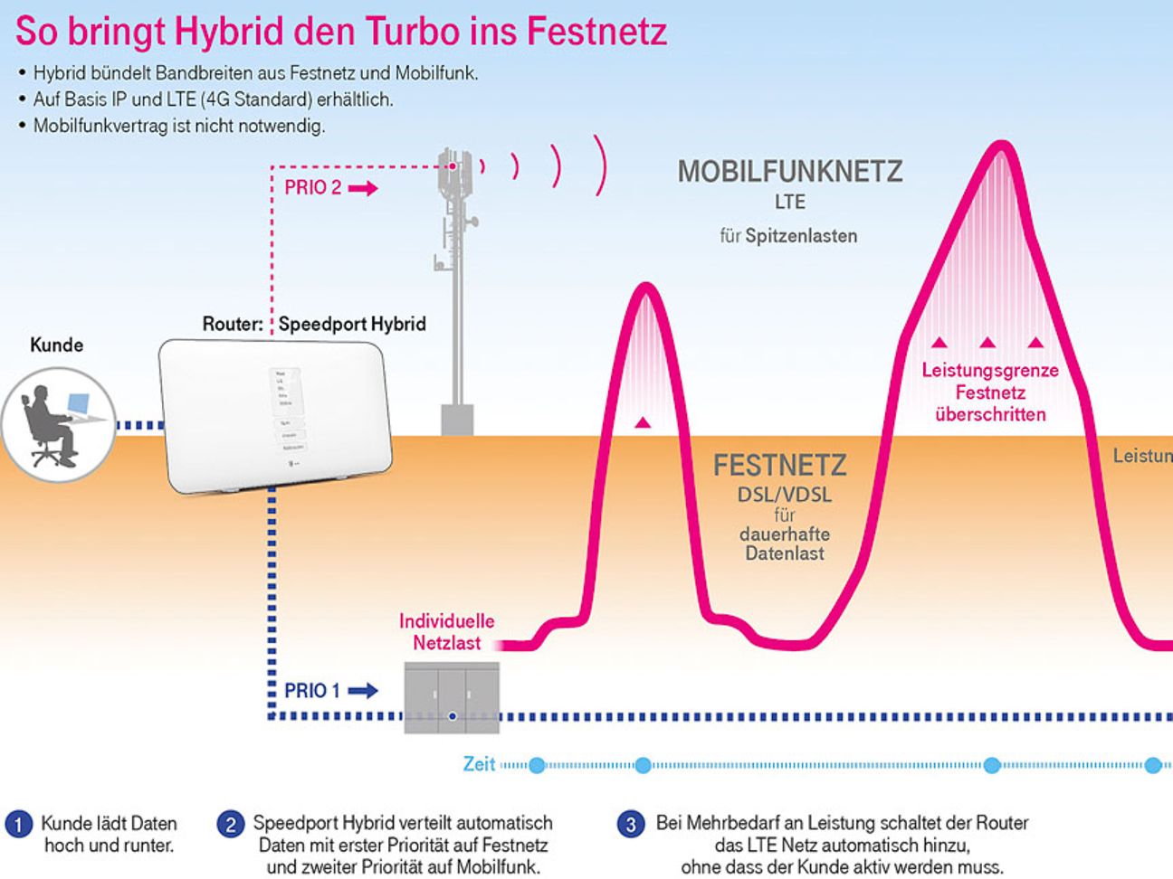 Grafik zur Netztechnik Hybrid.