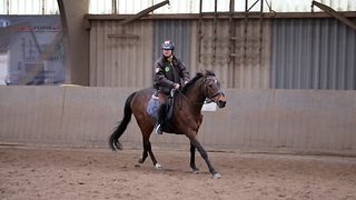 Reiter Amadeus Colsman steht im Stall vor seinem Pferd „Träumerei“.