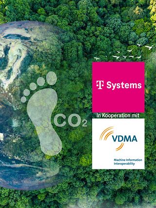 Graphics: Globus, rain forest, CO2 footprint.
